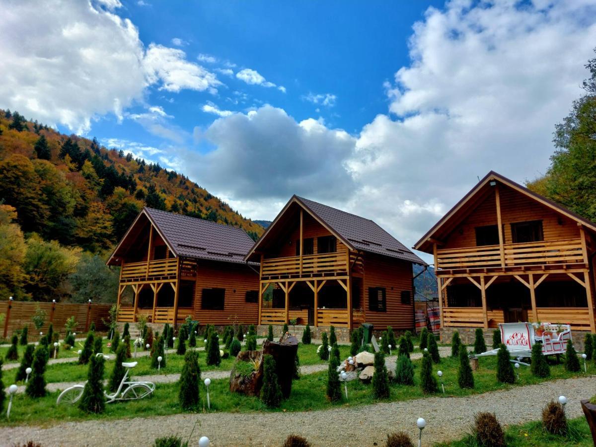 Aroa Mountain Villa Zărneşti Exterior foto